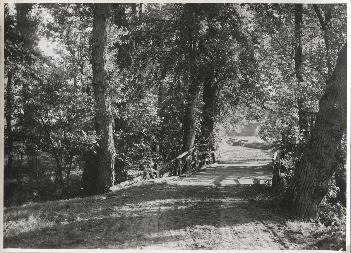 Fotograf: Hickstein, Carmen, Copyright: 1