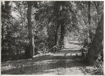 Fotograf: Hickstein, Carmen, Copyright: 1