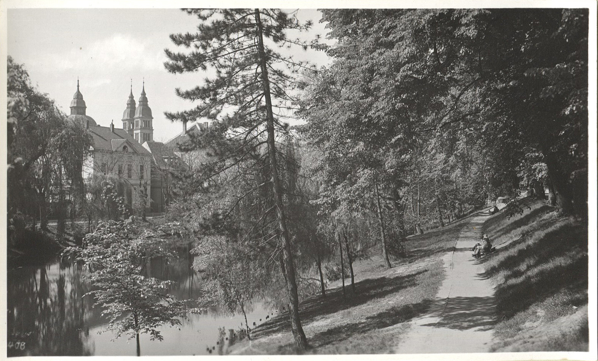 Fotograf: Hickstein, Carmen, Copyright: 1