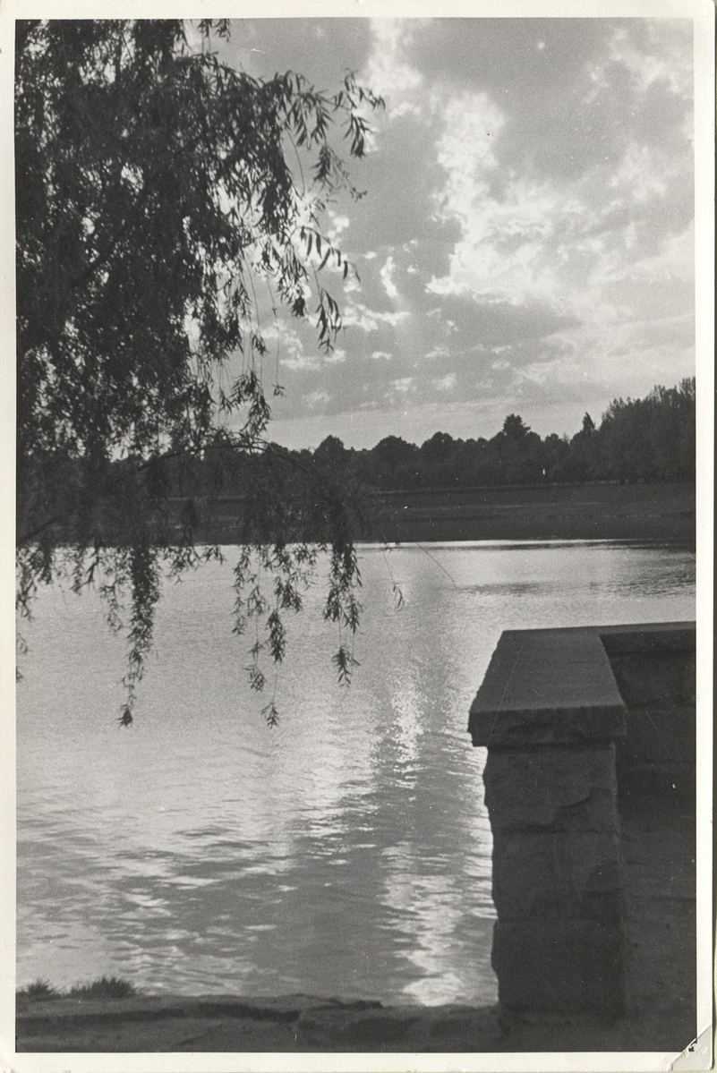 Fotograf: Hickstein, Carmen, Copyright: 1