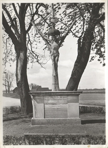 Fotograf: Hickstein, Carmen, Copyright: 1