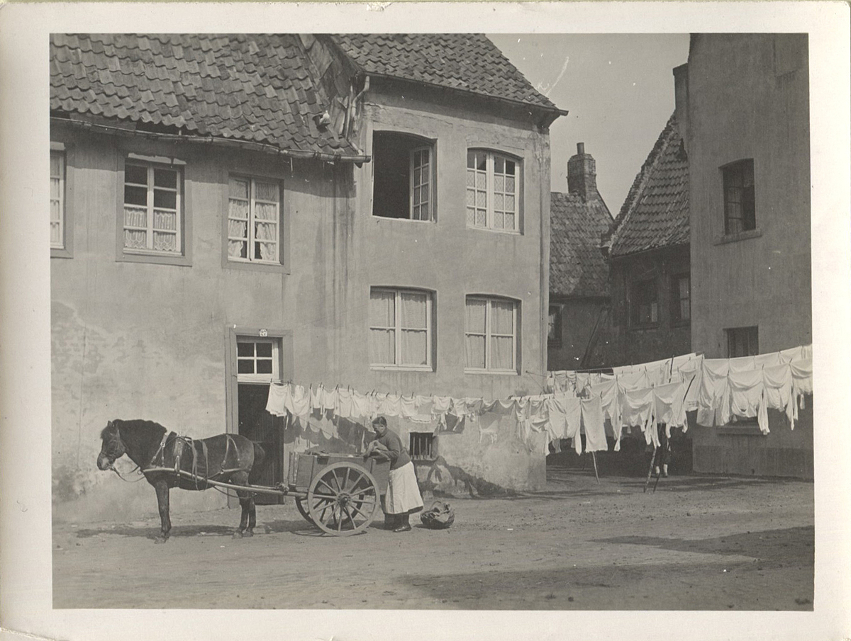 Fotograf: Hickstein, Carmen, Copyright: 1