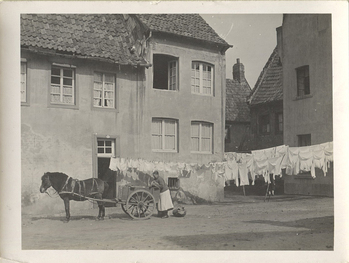 Fotograf: Hickstein, Carmen, Copyright: 1