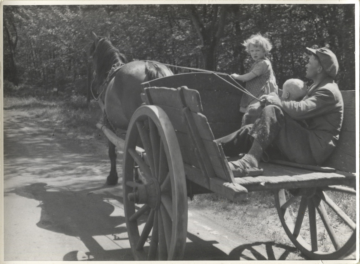 Fotograf: Hickstein, Carmen, Copyright: 1