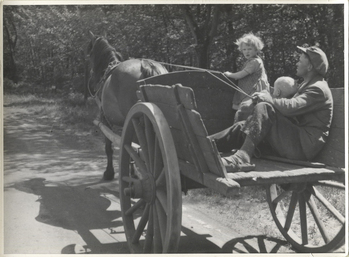 Fotograf: Hickstein, Carmen, Copyright: 1