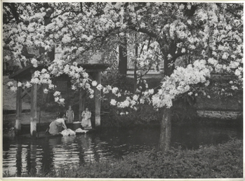 Fotograf: Hickstein, Carmen, Copyright: 1