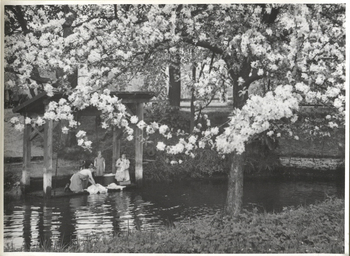 Fotograf: Hickstein, Carmen, Copyright: 1