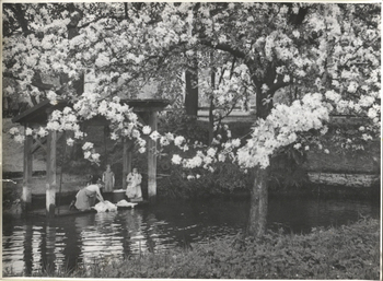 Fotograf: Hickstein, Carmen, Copyright: 1