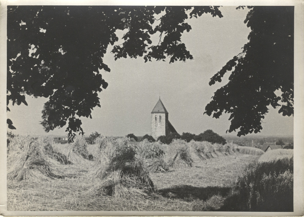 Fotograf: Hickstein, Carmen, Copyright: 1