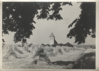 Fotograf: Hickstein, Carmen, Copyright: 1