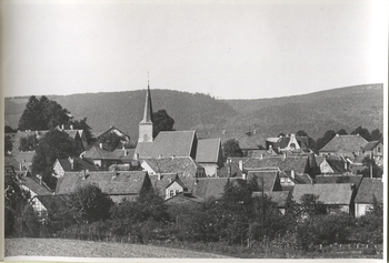 Fotograf: Hickstein, Carmen, Copyright: 1