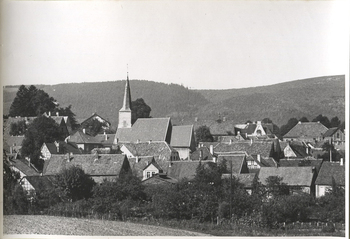 Fotograf: Hickstein, Carmen, Copyright: 1