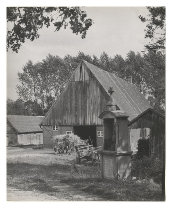 Fotograf: Hickstein, Carmen, Copyright: 1