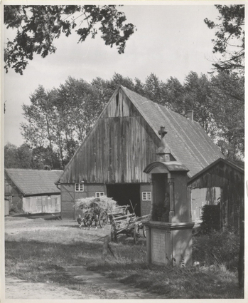 Fotograf: Hickstein, Carmen, Copyright: 1