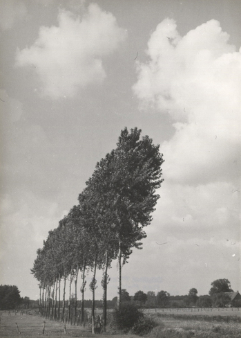 Fotograf: Hickstein, Carmen, Copyright: 1