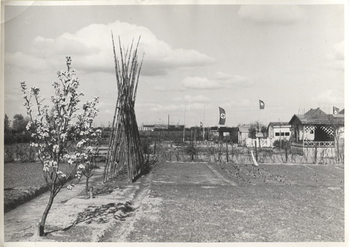 Fotograf: Hickstein, Carmen, Copyright: 1