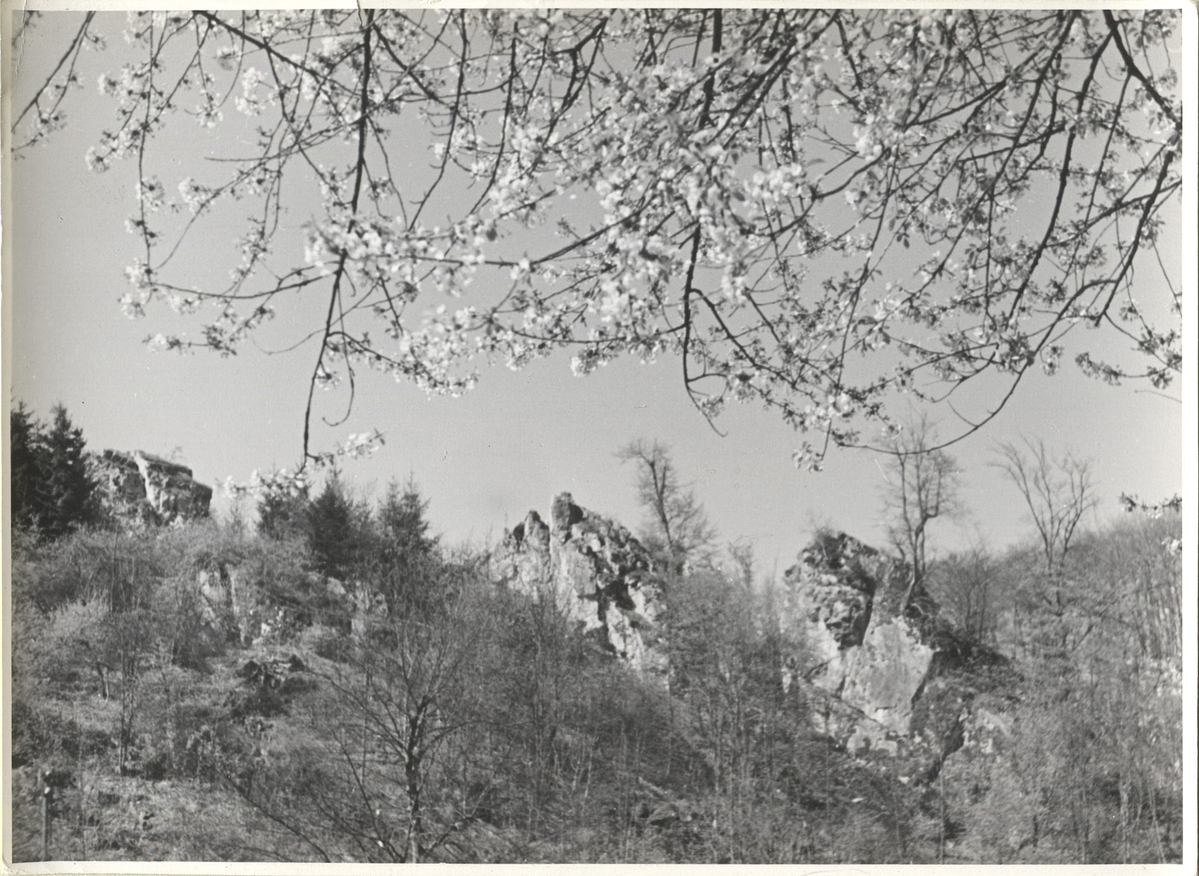 Fotograf: Hickstein, Carmen, Copyright: 1