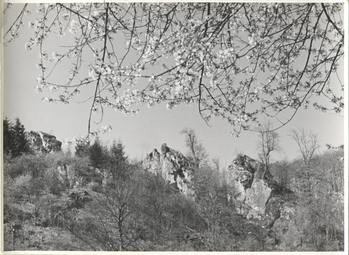 Fotograf: Hickstein, Carmen, Copyright: 1