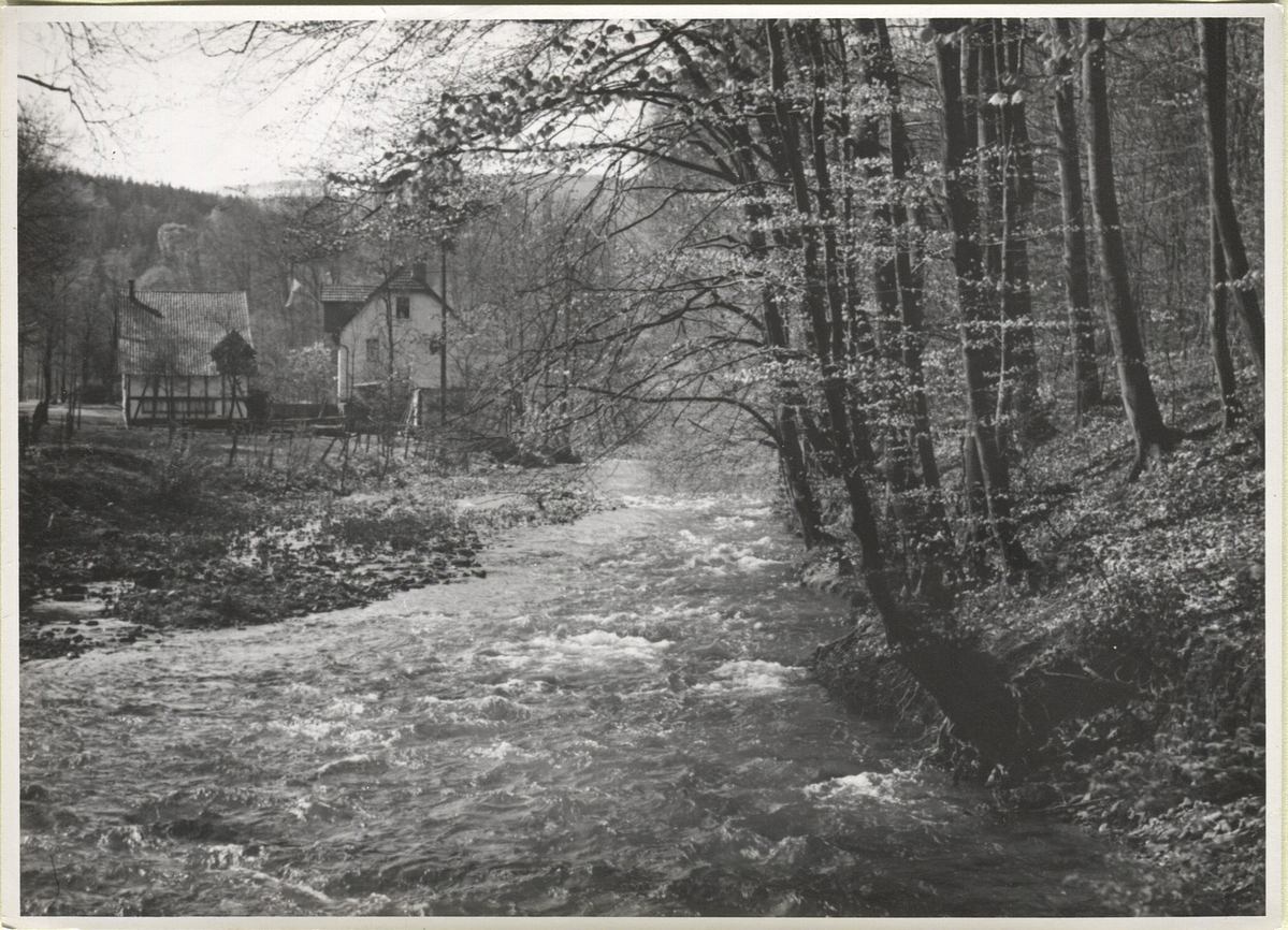 Fotograf: Hickstein, Carmen, Copyright: 1