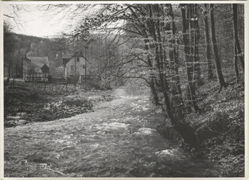 Fotograf: Hickstein, Carmen, Copyright: 1