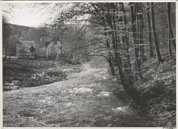 Fotograf: Hickstein, Carmen, Copyright: 1