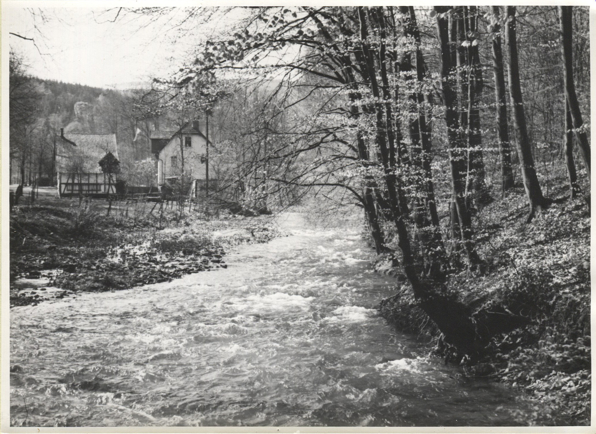 Fotograf: Hickstein, Carmen, Copyright: 1