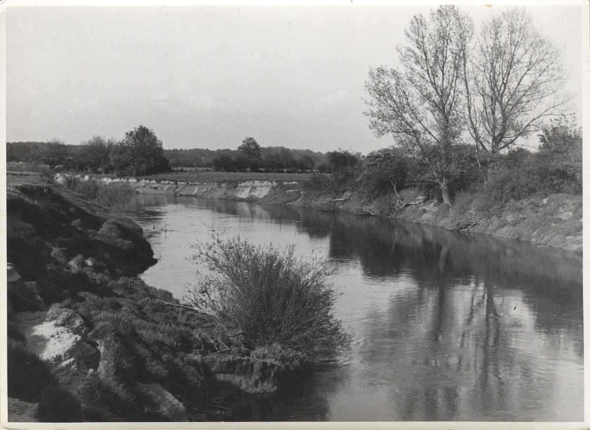 Fotograf: Hickstein, Carmen, Copyright: 1