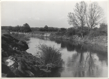 Fotograf: Hickstein, Carmen, Copyright: 1