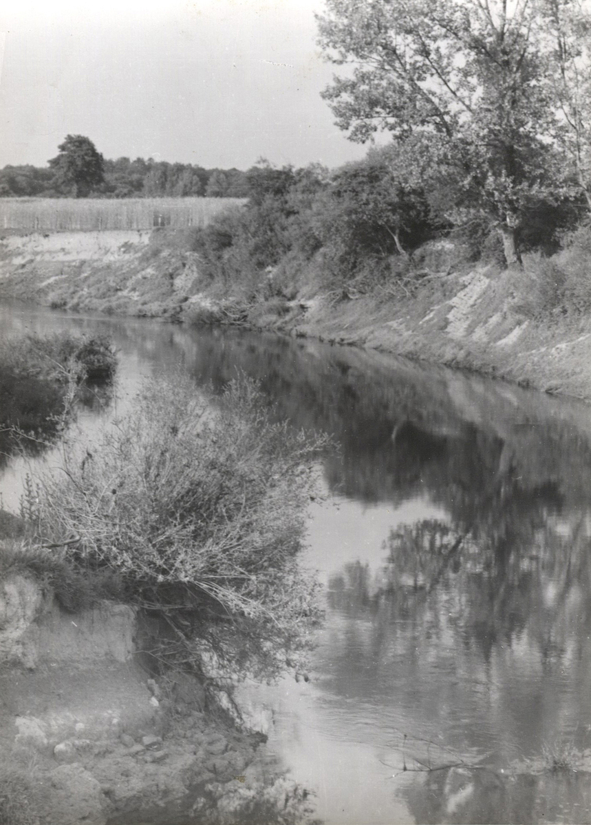 Fotograf: Hickstein, Carmen, Copyright: 1