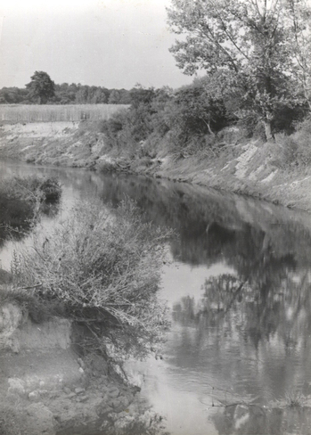 Fotograf: Hickstein, Carmen, Copyright: 1