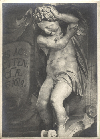Photographer: Hickstein, Carmen, Copyright: 1