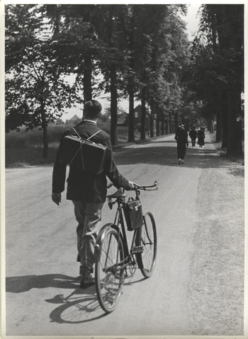 Fotograf: Hickstein, Carmen, Copyright: 1