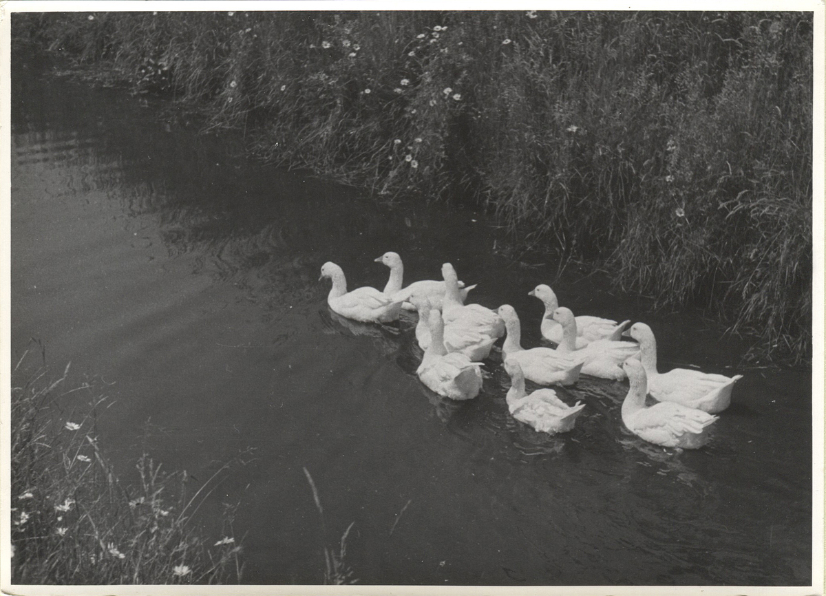 Fotograf: Hickstein, Carmen, Copyright: 1