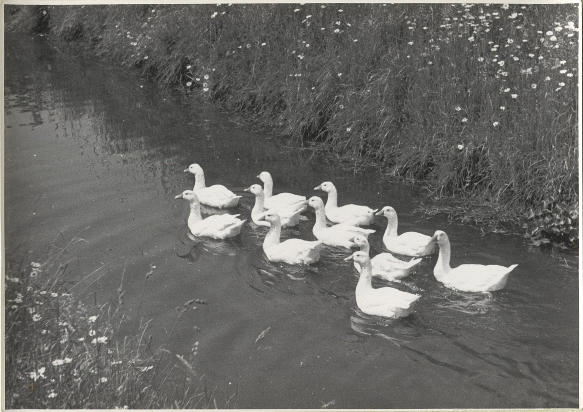 Fotograf: Hickstein, Carmen, Copyright: 1