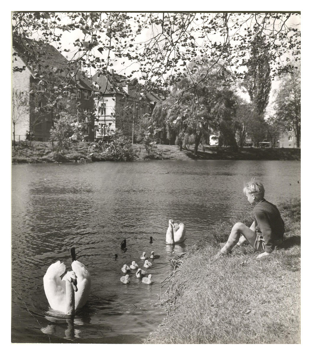 Fotograf: Hickstein, Carmen, Copyright: 1