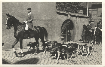 Fotograf: Hickstein, Carmen, Copyright: 1