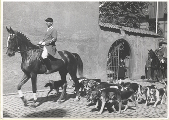 Fotograf: Hickstein, Carmen, Copyright: 1