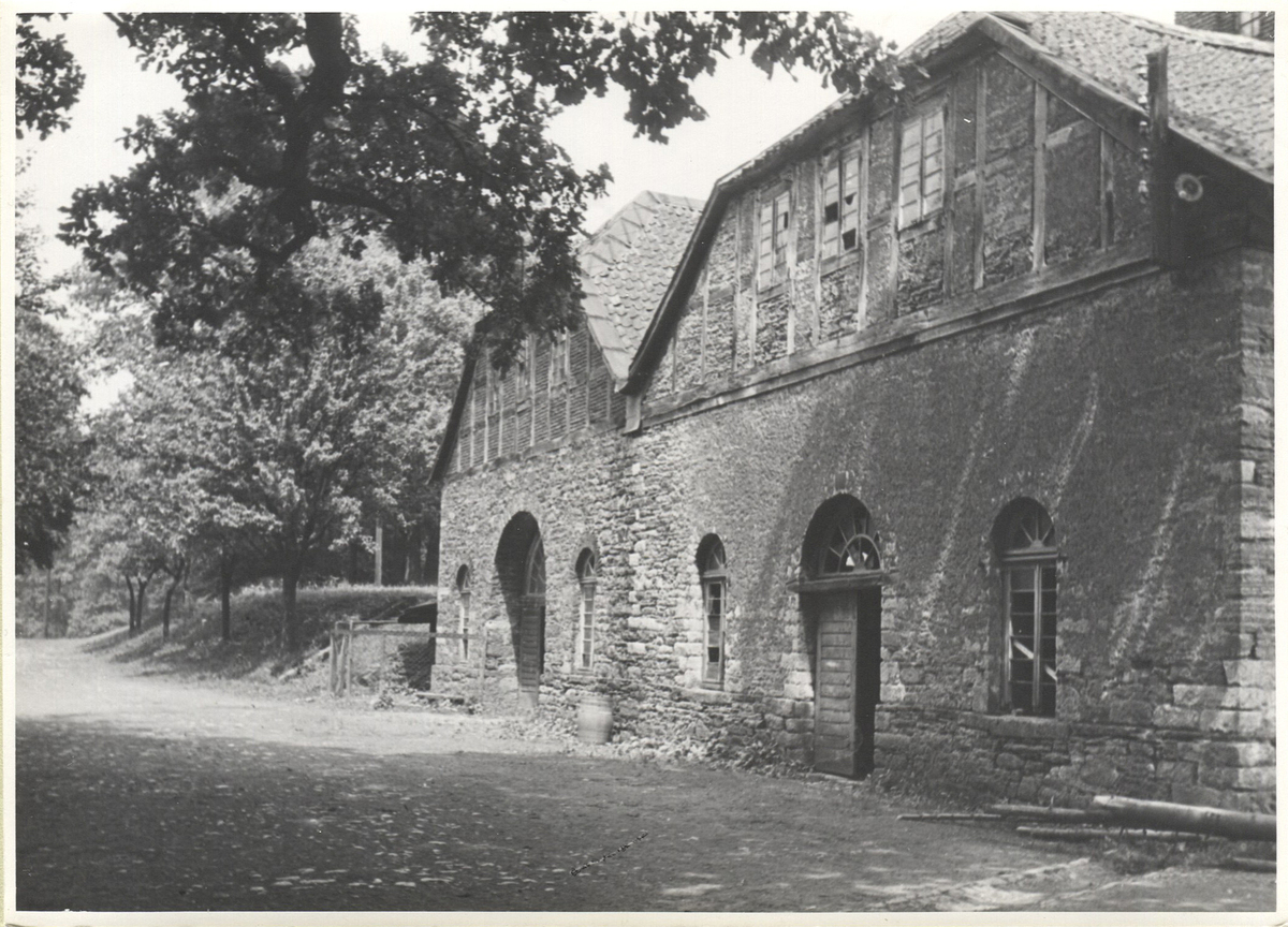 Fotograf: Hickstein, Carmen, Copyright: 1