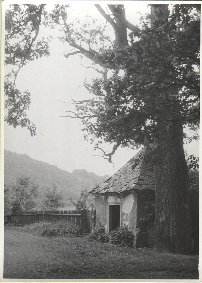 Fotograf: Hickstein, Carmen, Copyright: 1