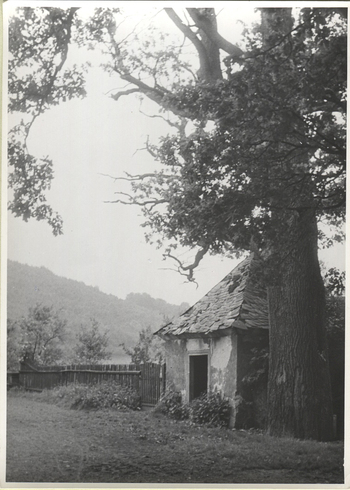 Fotograf: Hickstein, Carmen, Copyright: 1