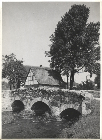 Fotograf: Hickstein, Carmen, Copyright: 1