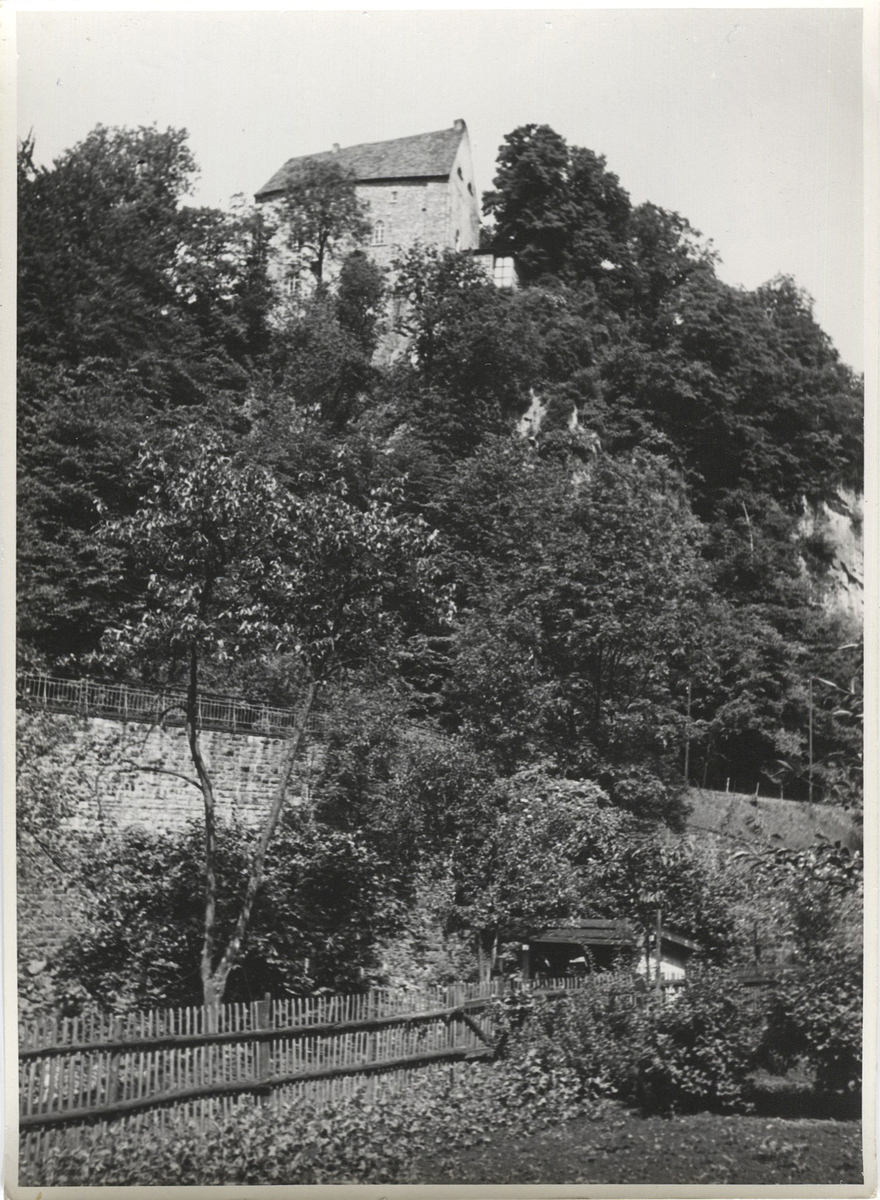 Fotograf: Hickstein, Carmen, Copyright: 1