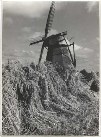 Fotograf: Hickstein, Carmen, Copyright: 1