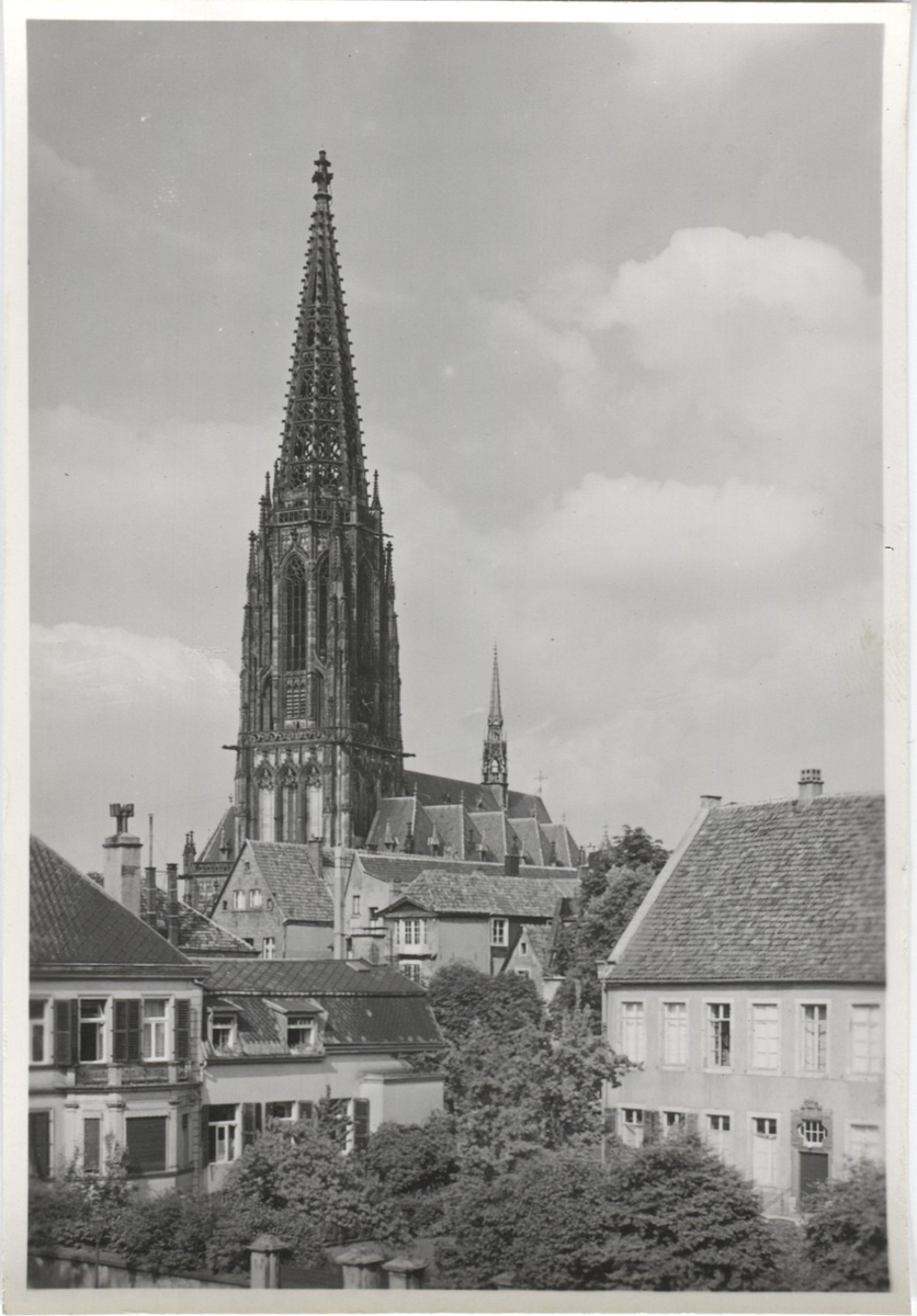 Fotograf: Hickstein, Carmen, Copyright: 1