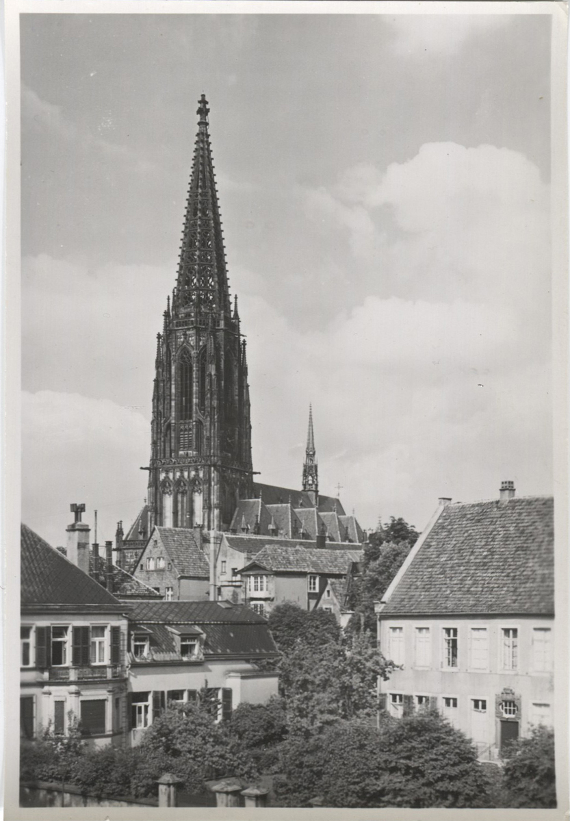 Fotograf: Hickstein, Carmen, Copyright: 1