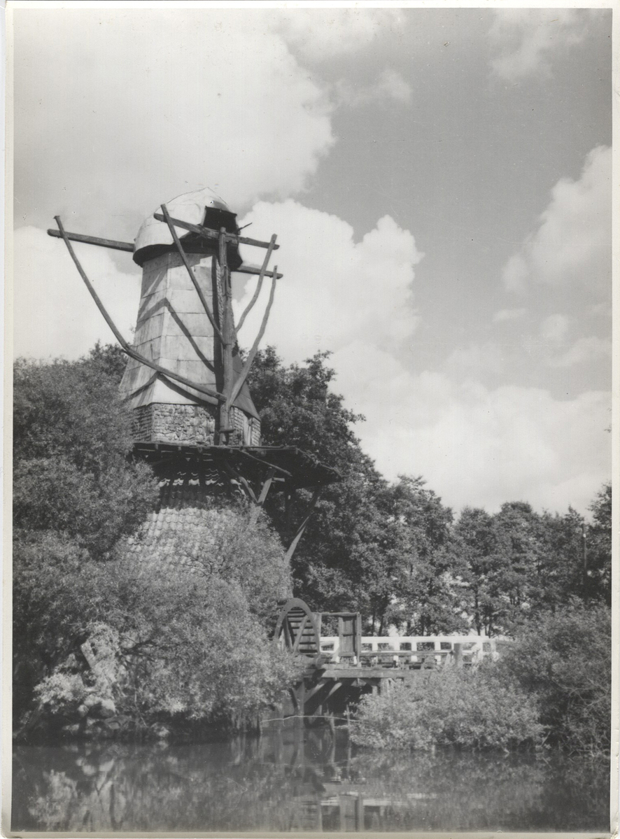 Fotograf: Hickstein, Carmen, Copyright: 1