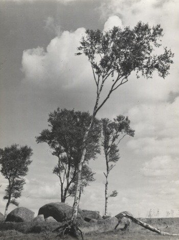 Photographer: Hickstein, Carmen, Copyright: 1