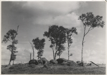 Fotograf: Hickstein, Carmen, Copyright: 1