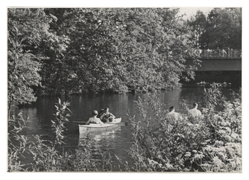 Fotograf: Hickstein, Carmen, Copyright: 1