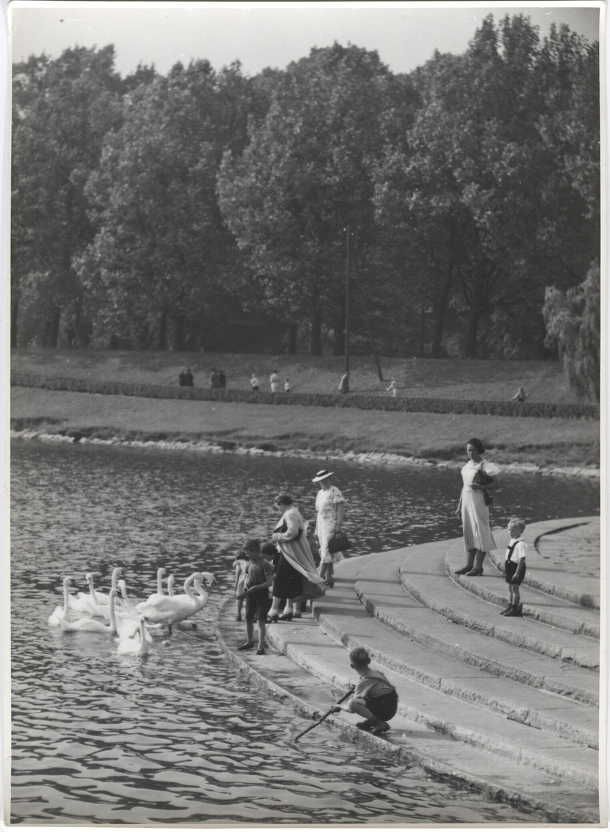 Fotograf: Hickstein, Carmen, Copyright: 1